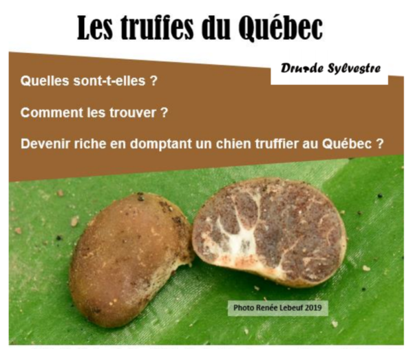 Les truffes du Québec