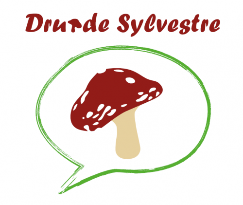 Logo Druide Sylvestre