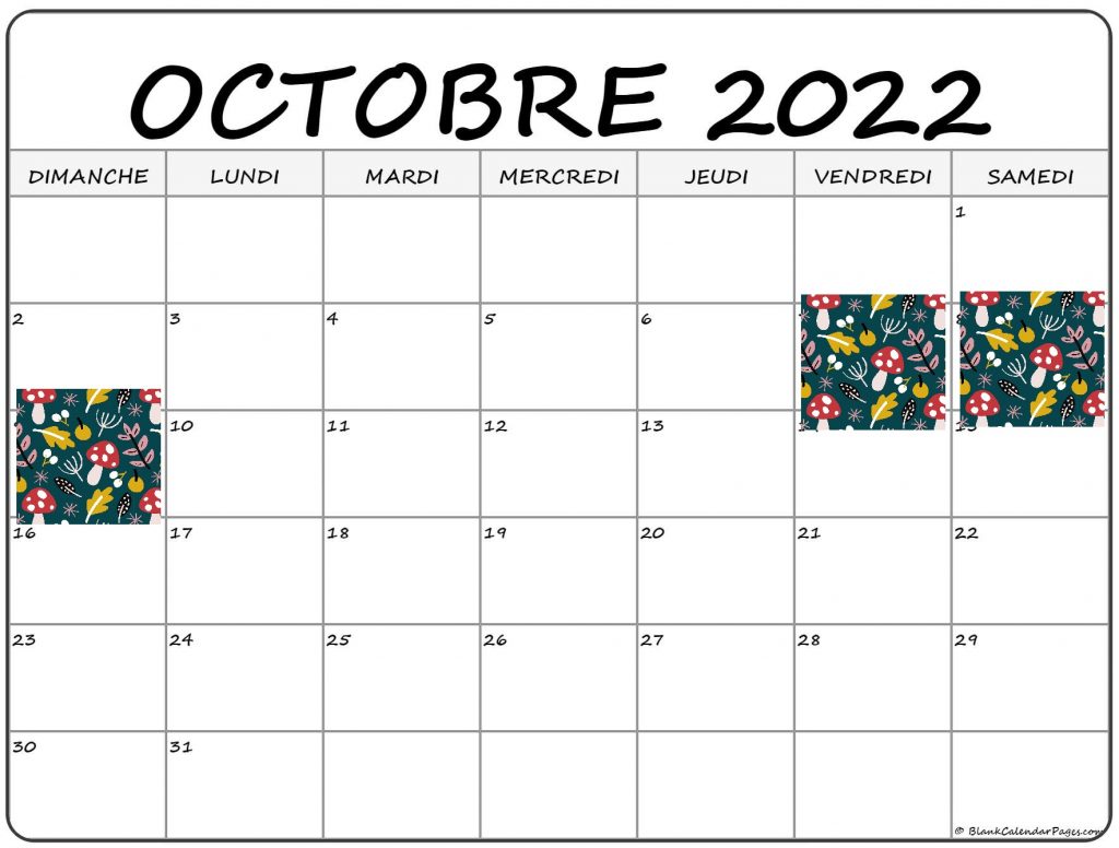 Festi-Champi les 7-8-9 octobre 2022